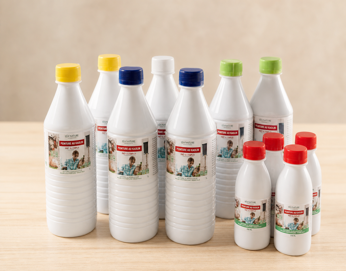 Myome & Fibromes